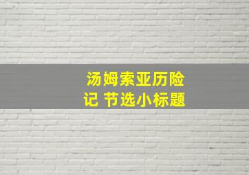 汤姆索亚历险记 节选小标题